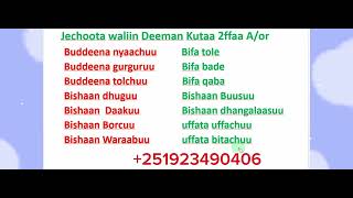 Afaan Oromoo Jechoota waliin Deeman Kutaa 2ffaa study Afaan OromooAmharic English letters [upl. by Brandice274]