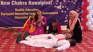 Kashmir Hun Mein  Performance  Beautiful tablo by Trends Education System [upl. by Allemrac]