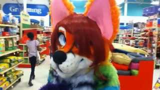 Fursuiting In PetSmart [upl. by Burl641]