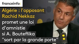 Algérie  lopposant Rachid Nekkaz promet une loi damnistie [upl. by Introk923]