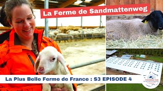 La Ferme de Sandmattenweg 🇫🇷 LA PLUS BELLE FERME DE FRANCE [upl. by Ariaj]