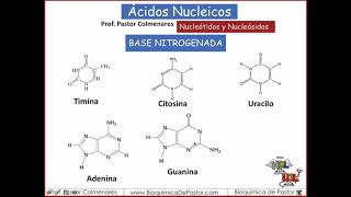 Nucleótidos y Nucleósidos  Ácidos nucleicos parte II [upl. by Slerahc902]