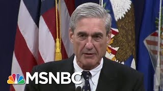 Adam Schiff President Donald Trump Is Afraid Of Bob Mueller And His Independence  Hardball  MSNBC [upl. by Nagaer711]