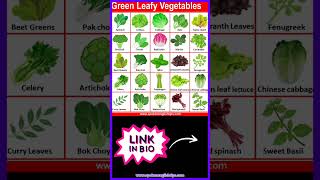 Green Leafy Vegetables Names [upl. by Smiga]