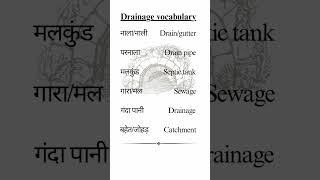 Drainage related words english trending shorts youtubeshorts [upl. by Arbmahs741]