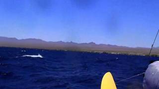 LAKE MOHAVE NEVADA movie2wmv Buckle Up Part 2 Man overboard [upl. by Tarra319]