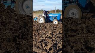 Ford 3000 Tractor at Sturton Stow amp District Ploughing Society  Sunday 27th October 2024 [upl. by Elacsap866]