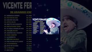 VICENTE FERNANDEZ 💥 VICENTE FERNANDEZ SUS MEJORES EXITOS 25 GRANDES EXITOS [upl. by Aicyle954]