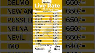 Live Chicken Prices 20241202 agrivisionsl [upl. by Ahsikrats]