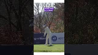 정확한 윤이나 PAR 3 티샷  Ina Yoon Iron shot for PAR 3 golf 윤이나 [upl. by Fortunna268]