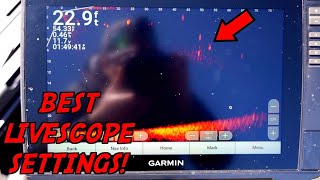 The BEST Settings for Garmin Livescope Plus  LVS34 settings [upl. by Leanna]