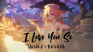 I Love You So ❤️   Slowed  Reverb   1 HOUR [upl. by Aiello]