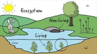 Unit 3 Ecosystems  KLU Science [upl. by Nomra]