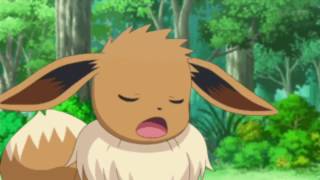 quotGlad you camequot Eevee and Fennekin AMV [upl. by Karla]