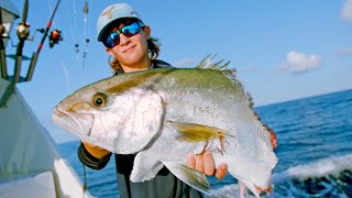 Deep Sea Fishing in Miami Amberjacks Dolphin and Wahoo [upl. by Treve]