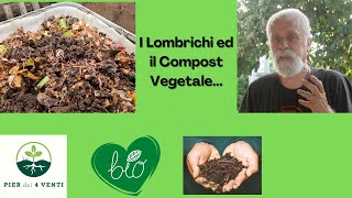 I Lombrichi ed il Compost Vegetale [upl. by Nerhtak511]