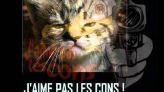 Georges Brassens chante les cons [upl. by Attenehs57]