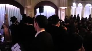 Rivi and Avromi Shwebel sing Im Eshkacheich [upl. by Ellehctim]