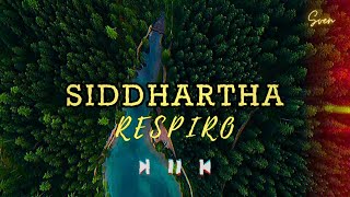 Siddhartha  Respiro 𝚂𝚕𝚘𝚠𝚎𝚍  𝚁𝚎𝚟𝚎𝚛𝚋 [upl. by Nichol]