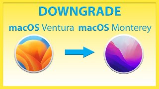 Downgrade macOS Ventura to Monterey without Bootable USB [upl. by Congdon]