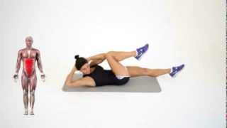 Criss Cross  Core Exercises  Get Six Pack  Ab Exercises [upl. by Solracnauj443]