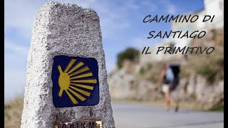 THE WAY  Film sul Cammino di Santiago il Primitivo 4k [upl. by Tsyhtema176]