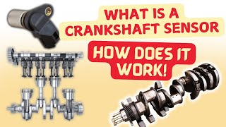 Crankshaft Position Sensor Learn Diagram  Location Working Functions and Types [upl. by Langan]