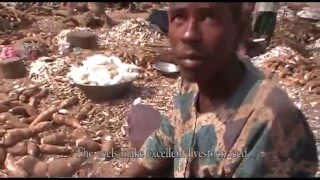 HOW GARRI IS MADE [upl. by Euh]