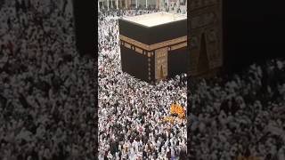 Naat Mustafa SAW shorts viralvideo islamicvideo islamicstatus [upl. by Eohce]