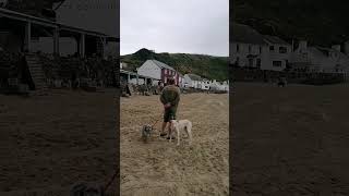 Ty Coch Inn Welsh beach pub Morfa Nefyn [upl. by Arahset721]