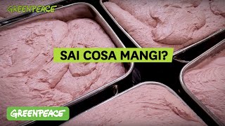 Sai cosa mangi [upl. by Beitz]