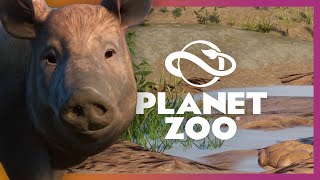 Tamworth Pigs Habitat  Planet Zoo Barnyard Pack [upl. by Tenaej339]