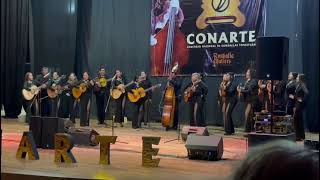 Ammore Rondalla Dinastía de Puebla [upl. by Shenan799]