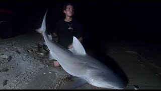 Texas Bull Shark After Dark  Surf Fishing South Padre Island [upl. by Soluk]