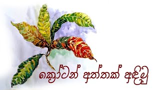 how to draw still life  croton leaf drawing  ක්‍රෝටන් අත්තක් බලා ඇඳීම 6 ශ්‍රේණියට උසස් පෙළ චිත්‍ර [upl. by Ahsikym150]