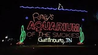 Its Bristol Baby Speedway in lights at Bristol Motor Speedway christmas lights viral youtube [upl. by Branch379]