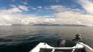 Visit Inishowen Donegal  Lough Swilly Orcas Sighting [upl. by Rosenquist16]