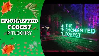 ENCHANTED FOREST  PITLOCHRY 2024 [upl. by Llenrap]