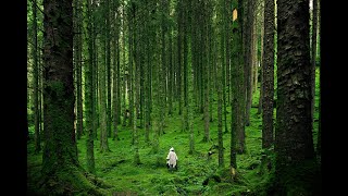 Kiruna the north of Sweden [upl. by Renaxela]