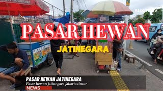 HEWAN APA SAJA YG DI JUAL DI PASAR HEWAN JATINEGARA [upl. by Initirb595]