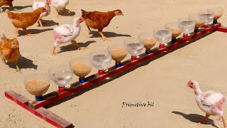 Bebedero y comedero para dar comida y agua fresca a las gallinas y pollos [upl. by Herriott741]