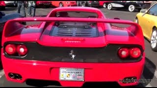 Ferrari F50 Accelerate Rare WOW [upl. by Erual]