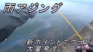 大分県 雨のアジング釣行 新ポイントでクラゲ大量発生！ [upl. by Ennirok488]