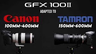 GFX 100 II Telephoto Lenses  Canon 100400mm and Tamron 150600mm [upl. by Lipscomb290]