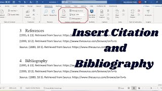 Insert Citation and Bibliography in MS Word 365  Mr Sher Muhammad [upl. by Lorelle]