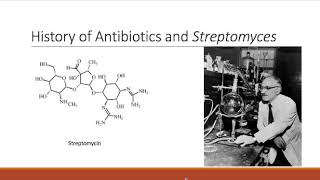 Streptomyces and Antibiotics [upl. by Akimehs]