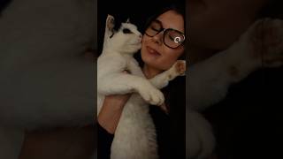 cat ASMR asmr tingleexperience asmrvideos feelthetingle asmrtriggers tinglesensation [upl. by Fleischer]