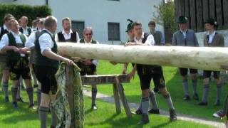 Maibaumaufstellen in Großholzhausen [upl. by Frank]