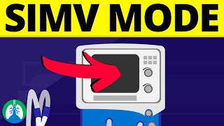 SIMV Mode of Mechanical Ventilation Quick Explainer Video [upl. by Amaryl]