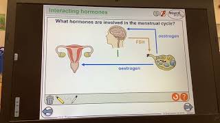 KS4GCSEBIOLOGYHormones Menstrual cycle hormones LH FSH Oestrogen and Progesterone [upl. by Dorris]